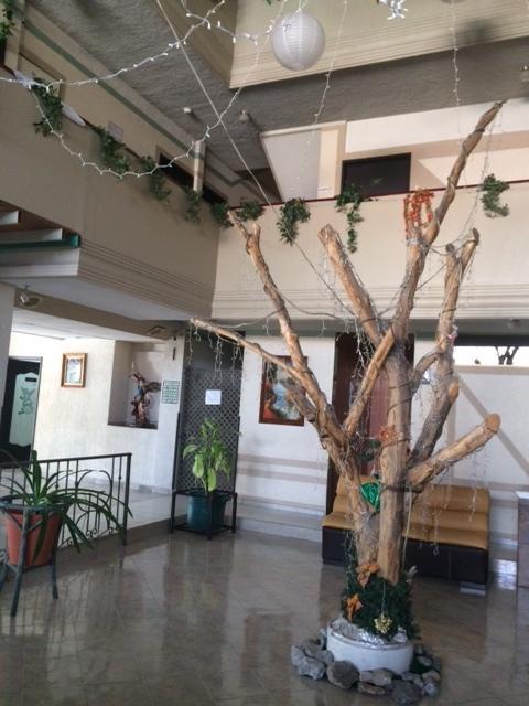Hotel Raldos Inn Salamanca Kültér fotó